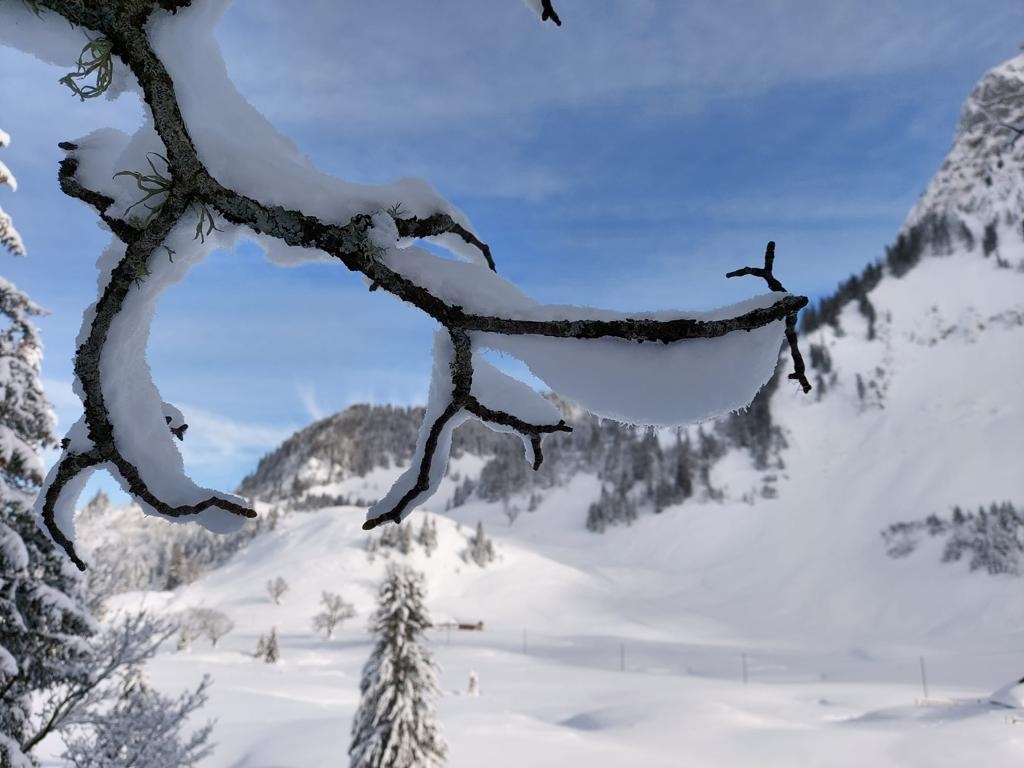 02_16. Jan 21_SAC Schneeschuhtour Schwarzsee (112).jpg